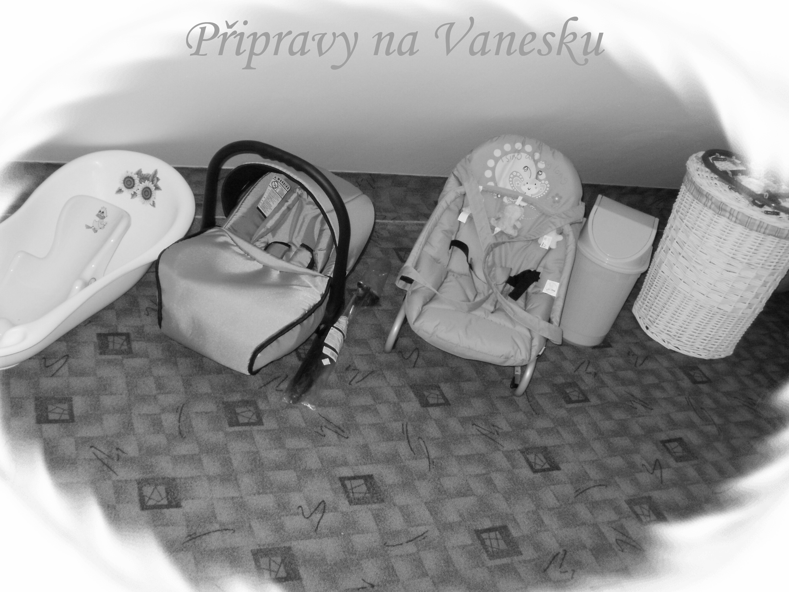 přípravy na Vanesku 002 (2).jpg